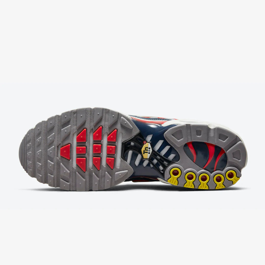 NIKE AIR MAX PLUS TN - USA GREY