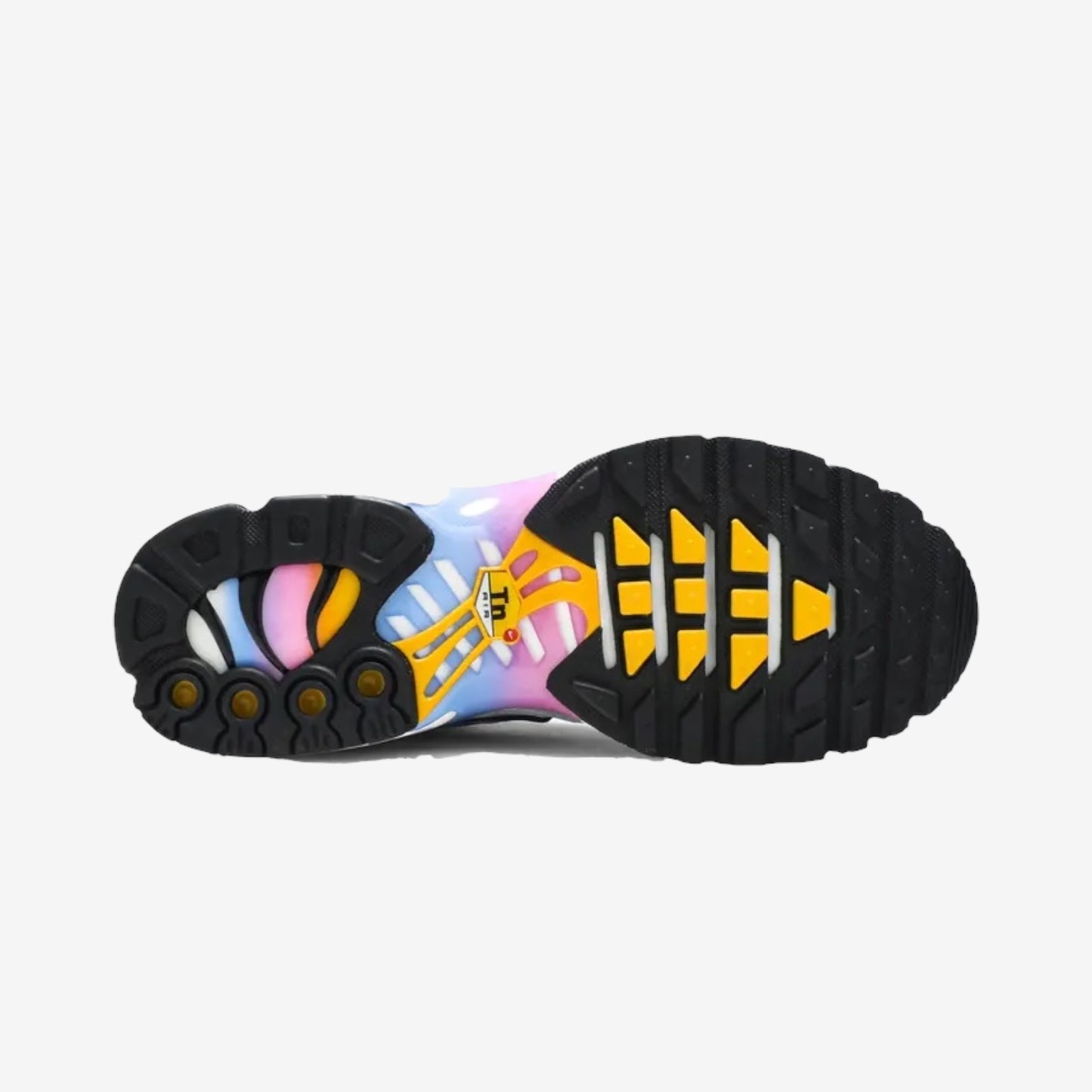 NIKE AIR MAX PLUS TN - SUMMER GRADIENT