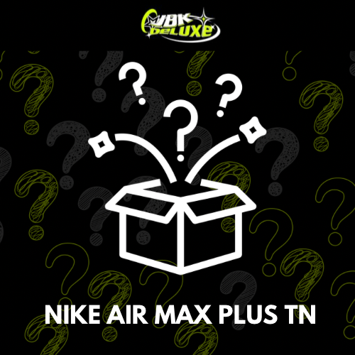 NIKE AIR MAX PLUS TN MYSTERY BOX