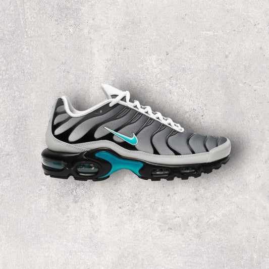 NIKE AIR MAX PLUS TN - ONE BLOCK DOWN MATTE SILVER